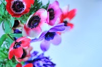 Liberty Blooms Wedding and Event Florist 1085528 Image 9